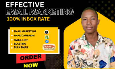 I will send bulk email blast, Mailchimp email campaign, cold email, and automation flow
