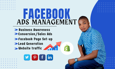 I will set up facebook ads campaign, instagram ads, fb marketing, advertising, meta ads