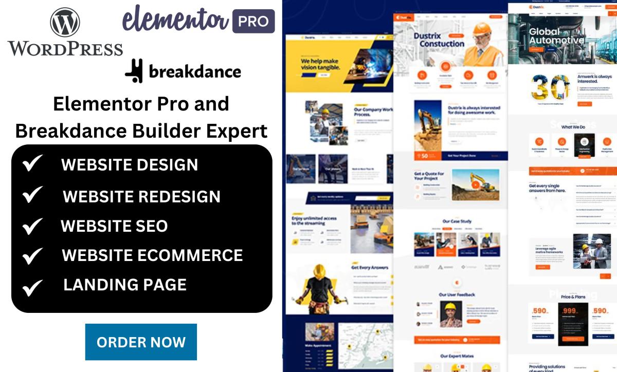I will build a professional WordPress website with Breakdance & Elementor Pro in 24 hours