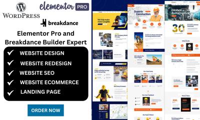 I will build a professional WordPress website with Breakdance & Elementor Pro in 24 hours