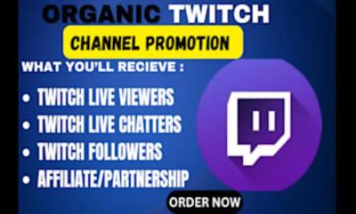 I will do Twitch channel promotion, boost Twitch live viewers, active followers, viewer