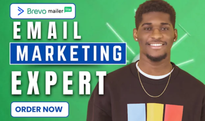 I will setup ActiveCampaign, MailerLite Automation, Klaviyo Flows, Brevo Email Newsletter
