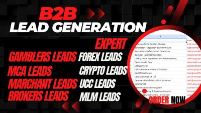 I Will Do Gambler Leads Homeowners MCA Merchant Loan UCC Leads Brokers Mortgage Leads