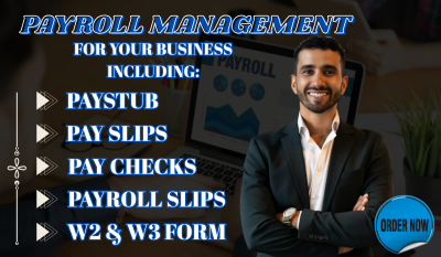 I will prepare payroll, W2, 1099, check stubs, stub, 941