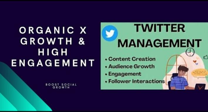 Grow X Followers, Engagement, Crypto Project Promotion