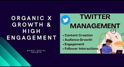 Grow X Followers, Engagement, Crypto Project Promotion