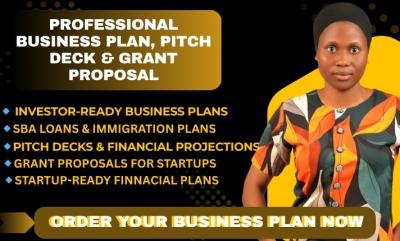 I will write a professional and investor ready business plan for your startup