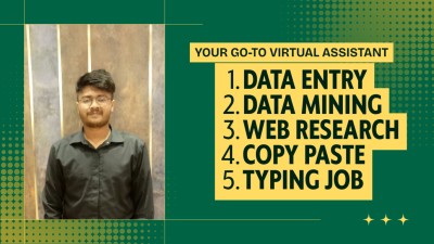 Be Your Virtual Assistant for Data Entry, Data Mining, Copy Paste, Web Research
