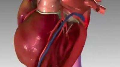 I will create 3d medical explainer video, 3d medical animation video, and 3d product animation