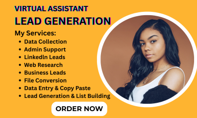 I will be virtual assistant for admin support, data entry, copy paste, web research