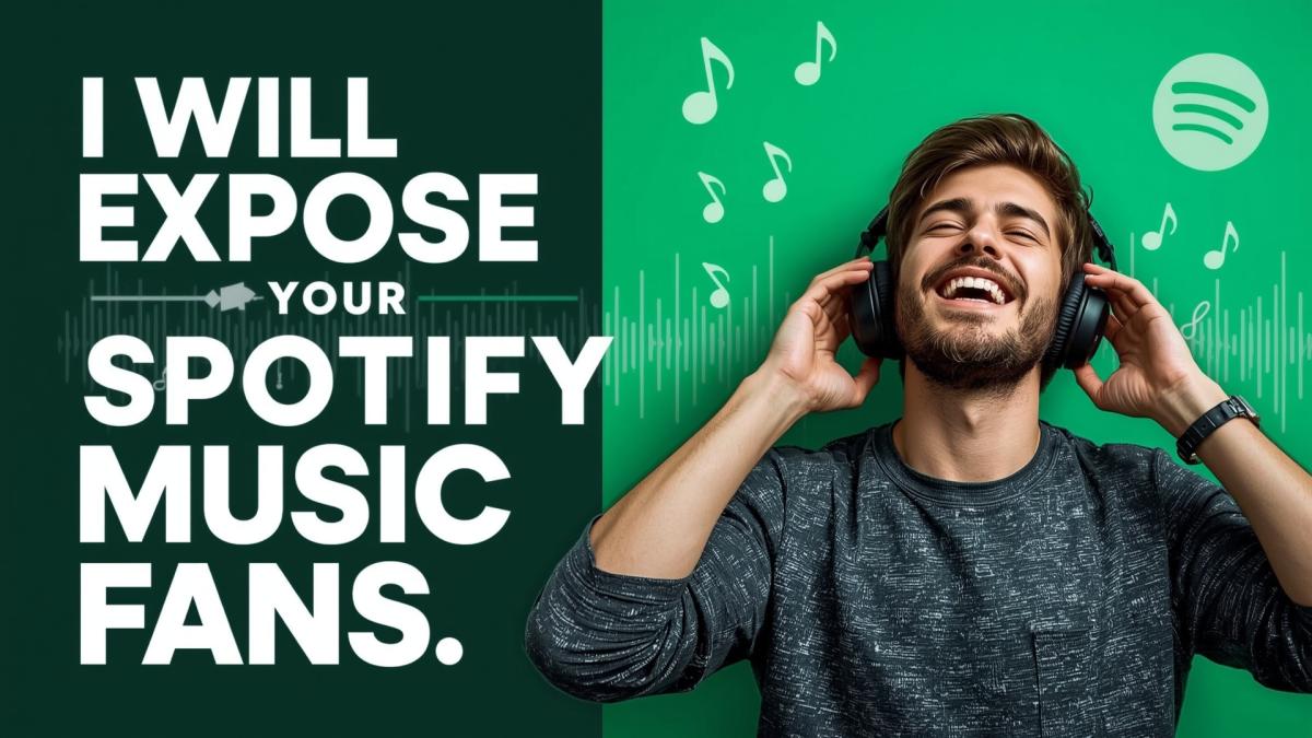 I will expose your Spotify music to real fans using niche promo