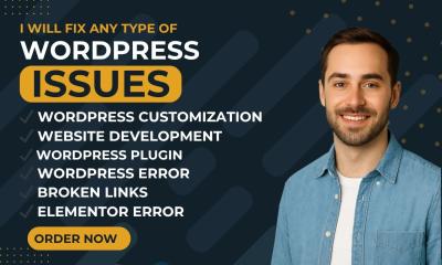 I will install, fix WordPress plugin, WordPress error, Elementor error, broken links bugs