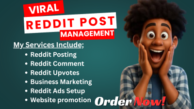 Do Reddit Post for E-commerce Business Website SaaS Marketing or Crypto Manager