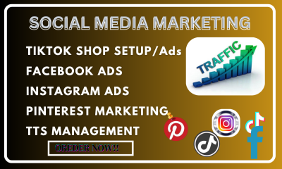 I Will Create Facebook, Instagram, Pinterest, and TikTok Ads Setup for Your Content