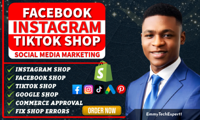 I will set up TikTok Shop, Facebook & Instagram Shop, TikTok Dropshipping Store & Marketing