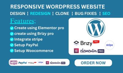 I will design WordPress website with Brizy or Elementor builder, Stripe integration