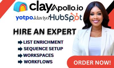 I will setup Clay.com marketing automation sequence workflow webhook enrichment