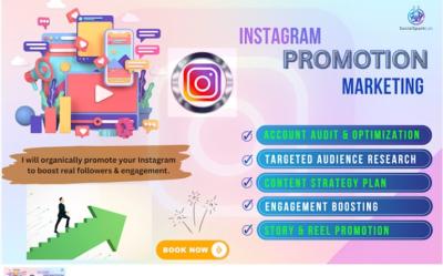 I will do organic ig promotion and marketing to grow real followers