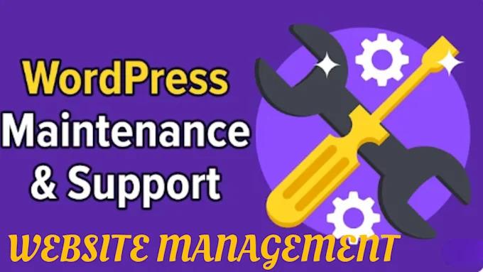 I Will Manage, Maintain, and Consult on Your WordPress Website – Fast, Secure, SEO Ready