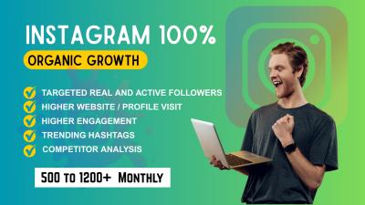 I will do Instagram marketing and promotion for super fast organic growth