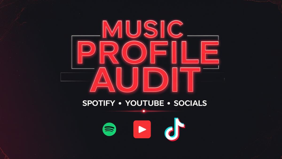 I Will Audit and Optimize Your Music Brand Like a Record Label Would