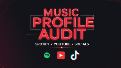 I Will Audit and Optimize Your Music Brand Like a Record Label Would