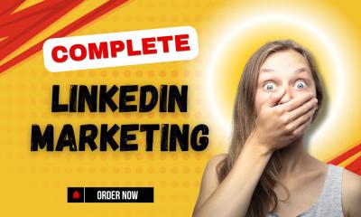 I will LinkedIn ghostwriter content posts and articles