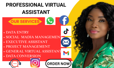 Be Your Shopify Virtual Assistant, Social Media Manager & Shopify Store Manager