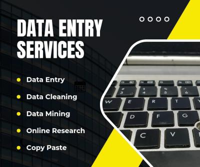 I will do fast data entry, web research, copy paste, typing work