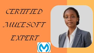 I will provide Mulesoft API Integration and Mulesoft Development Services