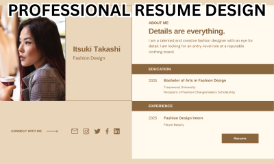 I Will Do Professional Resume Design, Modern CV Design in Canva