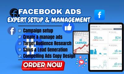 I Will Do the Best Facebook Ads Campaign Targeting the Best Audience for CPC Ads and Sales Copy