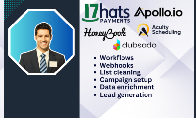 I Will Setup HoneyBook, Dubsado CRM Automation Workflow, 17Hats, Acuity Scheduling