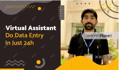 Be Virtual Assistant for Data Entry
