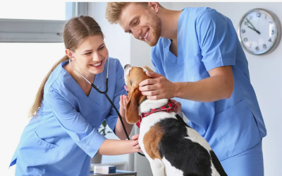 I will be your pet skin care, pet food, and supplement formulation chemist