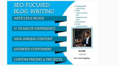 I will write SEO optimized articles or blog posts