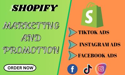 I Will Uplift Shopify Store Sales Ecommerce Dropshipping Marketing Shopify Promotion