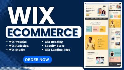 I will setup first week Instagram ads campaign for your Wix ecommerce business