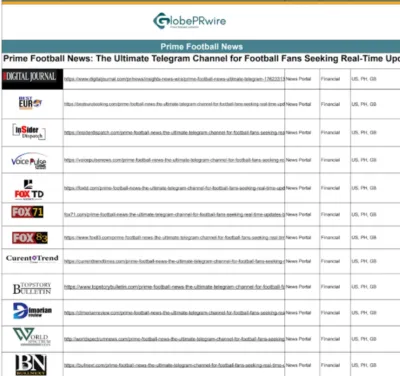 I will publish professional press release distribution and press release writing