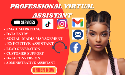 I will be your personal administrative executive virtual assistant social media manager