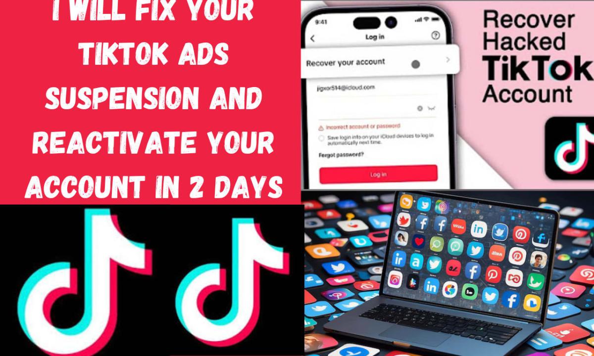 I will resolve TikTok ad suspension and reactivate your account