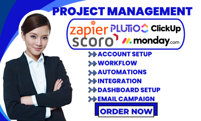I will setup Miro, Plutio, Airtable Workflow, Scoro, Zapier, Monday.com, and ClickUp Integration