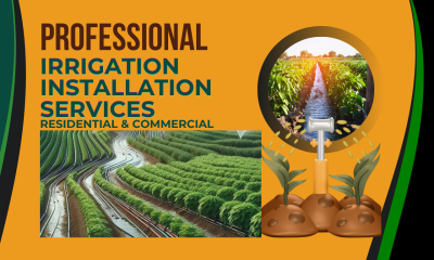 I will design irrigation system, sprinkler and landscaping for all types of systems