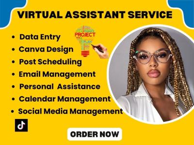 I will be your Administrative Personal Executive Virtual Assistant Social Media Manager