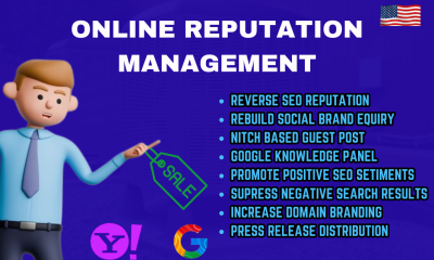 I Will Protect Online Reputation as Your SEO Manager and Rebuild Brand Equity
