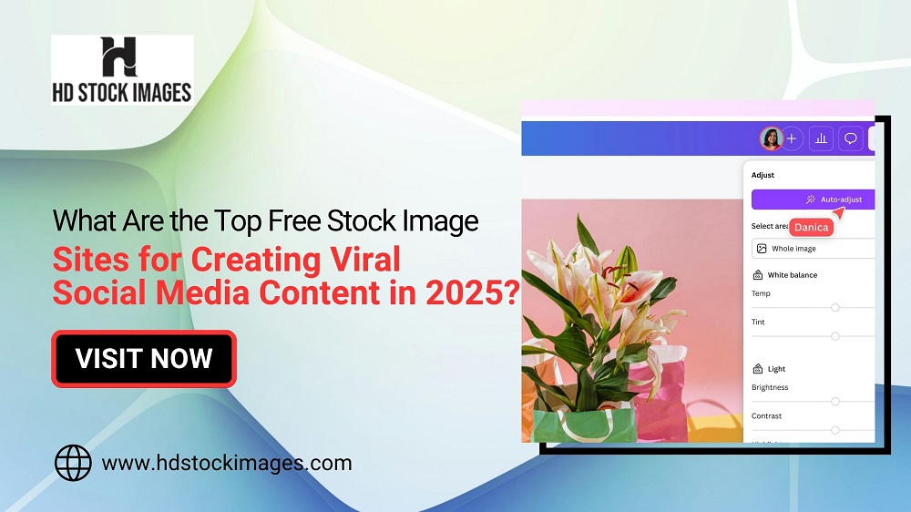 What Are the Top 5 Underrated Tools for Finding Free Stock Images in 2025?