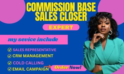 I will be your commission based sales high ticket sales b2b sales sales representative