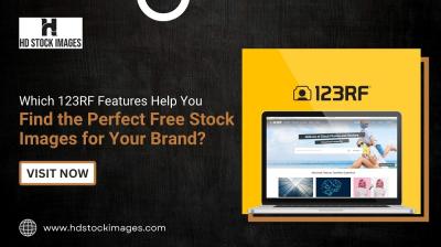 Which 123RF Features Help You Find the Perfect Free Stock Images for Your Brand?