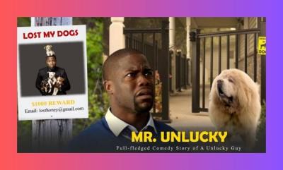 I will design a film pitch deck presentation for a TV web series or movie to present