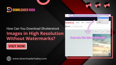 How Can You Download Shutterstock Images in High Resolution Without Watermarks?